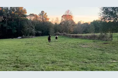 9953 Chestnut Court, Montgomery, TX 77316 - Photo 1