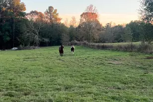 9953 Chestnut Ct, Montgomery, TX 77316 - Photo 1