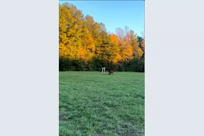 9953 Chestnut Court, Montgomery, TX 77316 - Photo 11