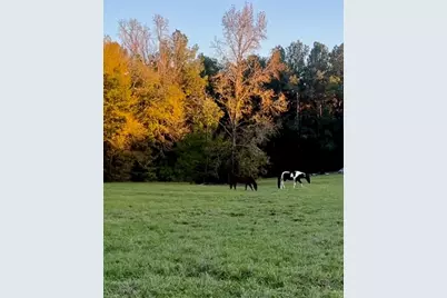 9953 Chestnut Court, Montgomery, TX 77316 - Photo 3