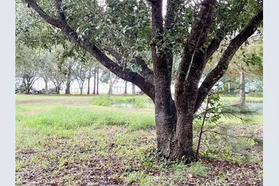00 W Bayshore Drive, Anahuac, TX 77514 - Photo 13