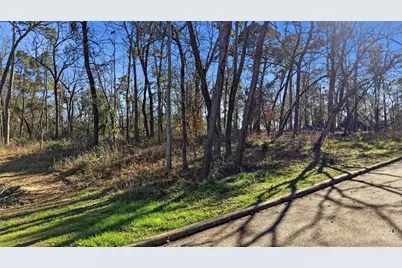 Lots 81 & 82 Lake Oaks Circle, Coldspring, TX 77331 - Photo 5