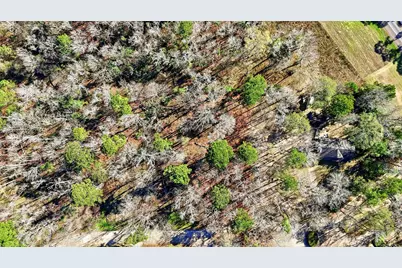 Lots 81 & 82 Lake Oaks Circle, Coldspring, TX 77331 - Photo 13