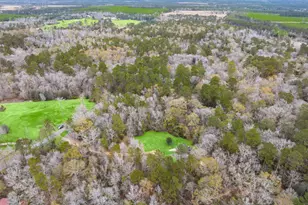 17868 Dogwood Dr, Conroe, TX 77303 - Photo 41