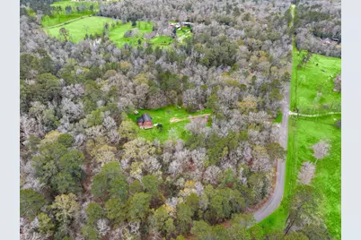 17868 Dogwood Drive, Conroe, TX 77303 - Photo 33