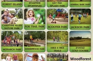 579 Longleaf Pine Dr, Montgomery, TX 77316 - Photo 49