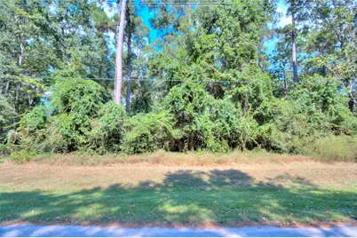 0 Sequoia Lane, Onalaska, TX 77360 - Photo 3