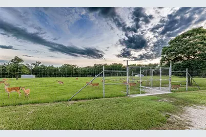 10285 Ferrill Creek Road, Bryan, TX 77808 - Photo 49