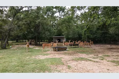 10285 Ferrill Creek Road, Bryan, TX 77808 - Photo 39