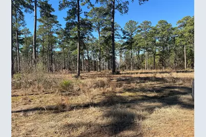 Tbd28 Private Road 6028, Brookeland, TX 75931 - Photo 9