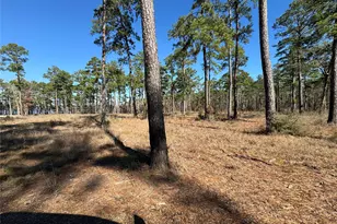 Tbd28 Private Road 6028, Brookeland, TX 75931 - Photo 1