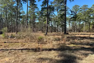 Tbd28 Private Road 6028, Brookeland, TX 75931 - Photo 7