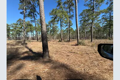 Tbd28 Private Road 6028, Brookeland, TX 75931 - Photo 11