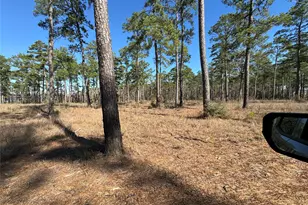 Tbd28 Private Road 6028, Brookeland, TX 75931 - Photo 11