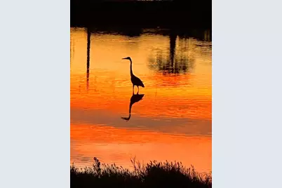 422 Windward Way, Tiki Island, TX 77554 - Photo 37