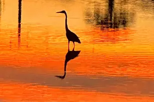 422 Windward Way, Tiki Island, TX 77554 - Photo 37