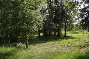 18855 Bethel Rd, Richards, TX 77873 - Photo 9