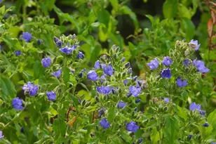 18855 Bethel Rd, Richards, TX 77873 - Photo 11