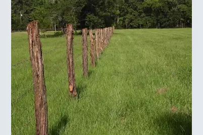 18855 Bethel Rd, Richards, TX 77873 - Photo 3