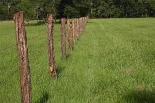 18855 Bethel Rd, Richards, TX 77873 - Photo 3