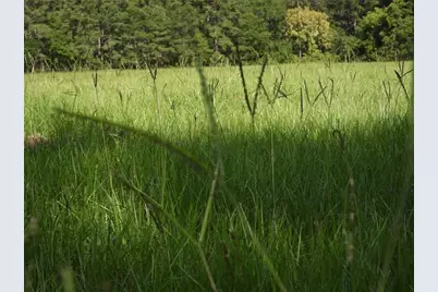 18855 Bethel Rd, Richards, TX 77873 - Photo 7