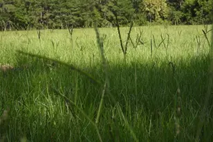 18855 Bethel Rd, Richards, TX 77873 - Photo 7