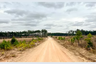 3A Hardin Hideout Rd, Moscow, TX 75960 - Photo 3