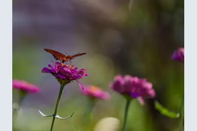 T-5 Providence Road, Calvert, TX 77837 - Photo 27