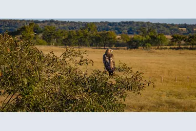T-5 Providence Road, Calvert, TX 77837 - Photo 35