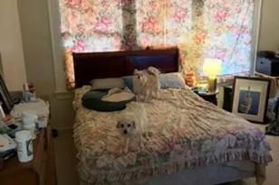 2513 Hazard St, Houston, TX 77019 - Photo 15