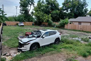 3210 Oklahoma St, Houston, TX 77093 - Photo 5