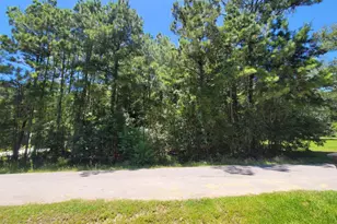 0 Hickory Dr, Montgomery, TX 77356 - Photo 3