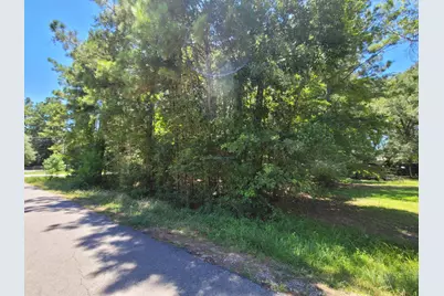 0 Hickory Drive, Montgomery, TX 77356 - Photo 5