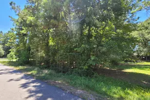 0 Hickory Dr, Montgomery, TX 77356 - Photo 5