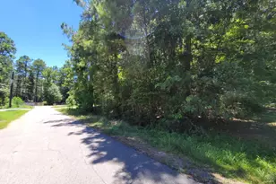 0 Hickory Dr, Montgomery, TX 77356 - Photo 1