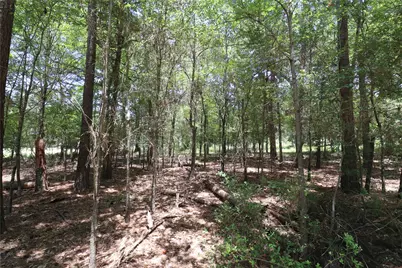 13774 Midway Drive, Willis, TX 77318 - Photo 5