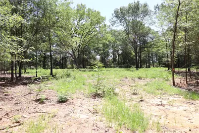 13774 Midway Drive, Willis, TX 77318 - Photo 3