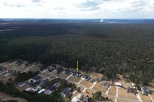 18556 Michaels Run, Montgomery, TX 77316 - Photo 49