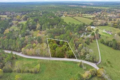 55 Dipping Vat Road, New Waverly, TX 77358 - Photo 3