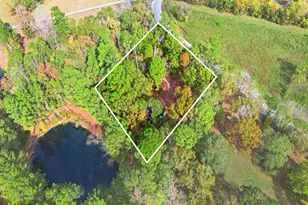 55 Dipping Vat Rd, New Waverly, TX 77358 - Photo 49