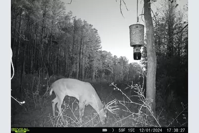 377 Fm 3179 Road, Huntsville, TX 77340 - Photo 49