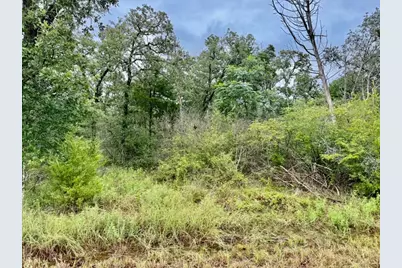 195 Sadie Lane, Round Top, TX 78954 - Photo 3