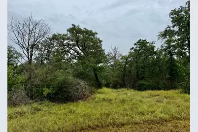 195 Sadie Lane, Round Top, TX 78954 - Photo 7