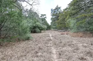 Tbd Cr 132, Hallettsville, TX 77964 - Photo 15