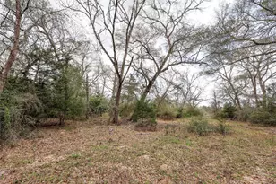 Tbd Cr 132, Hallettsville, TX 77964 - Photo 5