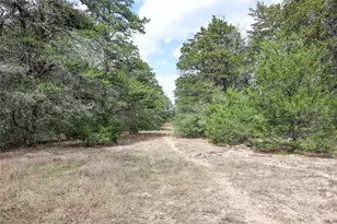 Tbd Cr 132, Hallettsville, TX 77964 - Photo 11