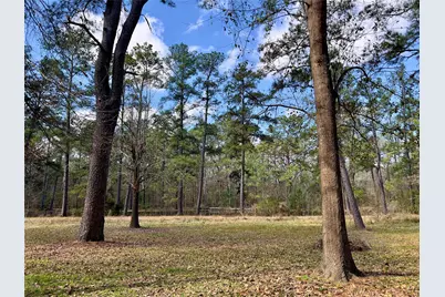 Tbd Kent Dr, New Caney, TX 77357 - Photo 3