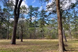 Tbd Kent Dr, New Caney, TX 77357 - Photo 3