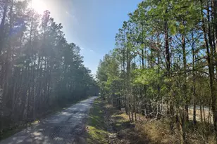 1037 Counts Rd, Point Blank, TX 77364 - Photo 1