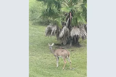 540 Bayou Avenue, Anahuac, TX 77514 - Photo 31